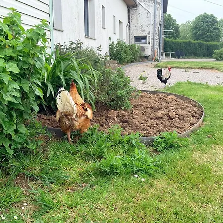 A La Ferme Du Grand Air *